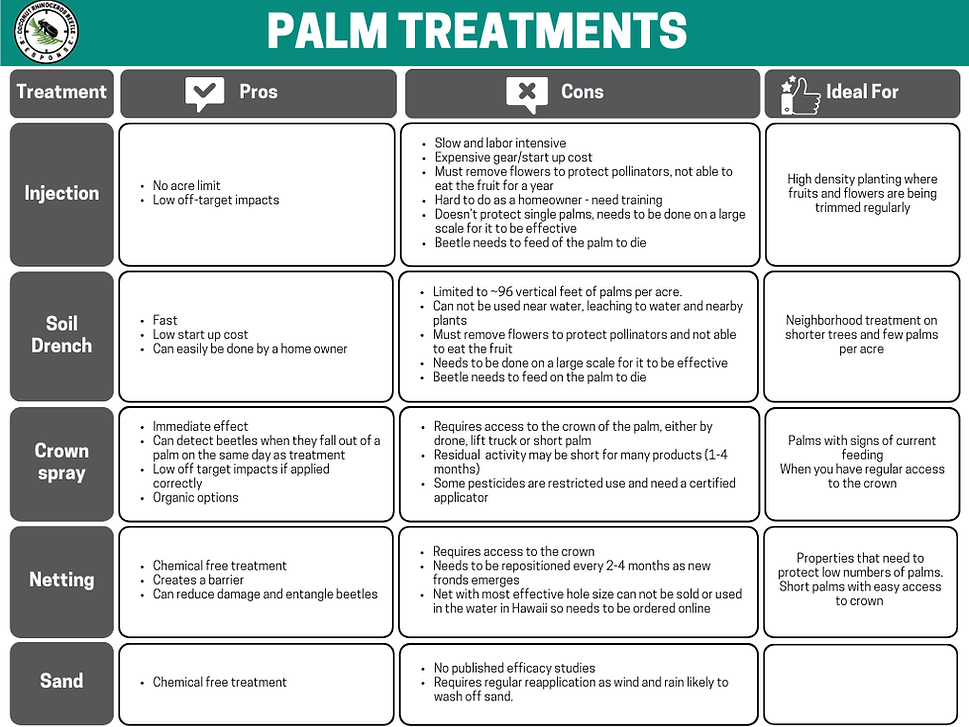 Palm Treatments CRB Hawaii